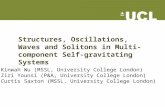 Structures, Oscillations, Waves and Solitons in Multi-component Self- gravitating Systems Kinwah Wu (MSSL, University College London) Ziri Younsi (P&A,