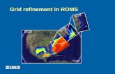 Grid refinement in ROMS 1000 m 5000 m 200 m. Two-way grid refinement SST for: USeast grid = 5 km Carolinas grid = 1 km Grid refinement of the ocean and.