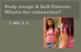 7.NPA.3.2.  Define body image, negative and positive  List factors that influence body image  Explain the association between self- esteem and body.
