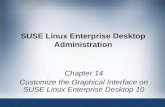 SUSE Linux Enterprise Desktop Administration Chapter 14 Customize the Graphical Interface on SUSE Linux Enterprise Desktop 10.