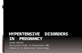 SALWA NEYAZI Assisstent Prof. & Consultant OBG Pediatric & Adolescent Gynecology.