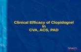 Clinical Efficacy of Clopidogrel in CVA, ACS, PAD.