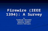 Firewire (IEEE 1394): A Survey by Guadalupe Hernandez Sumantra Dasgupta Abdullah Cerekci Gonzalo Rodriguez.