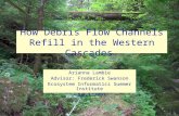 How Debris Flow Channels Refill in the Western Cascades Arianna Lambie Advisor: Frederick Swanson Ecosystem Informatics Summer Institute August 2007.