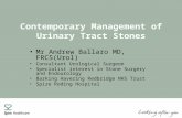 Contemporary Management of Urinary Tract Stones Mr Andrew Ballaro MD, FRCS(Urol) Consultant Urological Surgeon Specialist interest in Stone Surgery and.