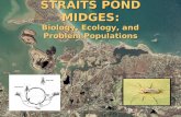 STRAITS POND MIDGES: Biology, Ecology, and Problem Populations.