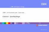 ® IBM Software Group ©IBM Corporation IBM Information Server Cleanse - QualityStage.