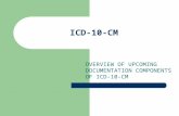 ICD-10-CM OVERVIEW OF UPCOMING DOCUMENTATION COMPONENTS OF ICD-10-CM.