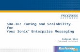 SOA-36: Tuning and Scalability for Your Sonic ™ Enterprise Messaging Andreas Gies Principal Architect.