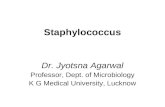 Staphylococcus Dr. Jyotsna Agarwal Professor, Dept. of Microbiology K G Medical University, Lucknow.