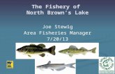 The Fishery of North Brown’s Lake Joe Stewig Area Fisheries Manager 7/20/13.
