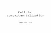 Cellular compartmentalization Pages 497 - 512. Q1 Name at least two of the three protein complexes involved in the electron transport chain?