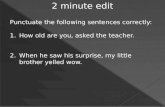 2 minute edit Punctuate the following sentences correctly: 1.How old are you, asked the teacher. 2.When he saw his surprise, my little brother yelled wow.