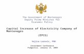 Capital Increase of Electricity Company of Montenegro (EPCG) Vujica Lazovic, PhD Investment Conference Podgorica, January 13, 2009 The Government of Montenegro.