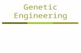 Genetic Engineering Genetic Engineering Then  Agriculture – Study of Heredity Picking the best plants and using those seeds.  Animal Breeding Artificial.