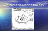 Welcome to Marine Biology. Introduction to Marine Biology 1. How did Marine Biology start? Why? 2. What is Marine Biology to you? You have about 5 minutes.