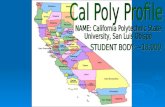Cal Poly, San Luis Obispo. Fast Facts  Green and Gold  Nickname: Mustang  Mascot: Musty the Mustang.