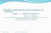 Fin500J Mathematical Foundations in Finance Topic 1: Matrix Algebra Philip H. Dybvig Reference: Mathematics for Economists, Carl Simon and Lawrence Blume,