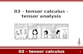 1 03 - tensor calculus 03 - tensor calculus - tensor analysis.