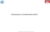Polybutylene Terephthalate (PBT) CORPORATE TRAINING AND PLANNING.