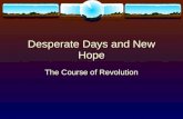 Desperate Days and New Hope The Course of Revolution.