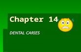 Chapter 14 DENTAL CARIES. DIAGNOSIS &TREATMENT  3 Major Steps Data gathering Examination of Patient Examination of Patient Preparing & Presenting Treatment.