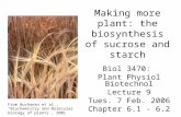 Making more plant: the biosynthesis of sucrose and starch Biol 3470: Plant Physiol Biotechnol Lecture 9 Tues. 7 Feb. 2006 Chapter 6.1 - 6.2 From Buchanan.
