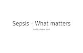 Sepsis – What matters David Johnson 2014. Traditional care Early recognition Antibiotics Fluids Vasopressors Source control.