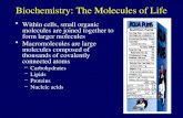 Biochemistry: The Molecules of Life Within cells, small organic molecules are joined together to form larger molecules Macromolecules are large molecules.