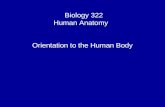 Biology 322 Human Anatomy I Orientation to the Human Body.