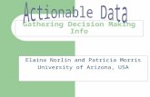 Gathering Decision Making Info Elaina Norlin and Patricia Morris University of Arizona, USA.