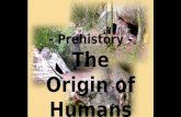 - Prehistory - The Origin of Humans. A Selection of Views Judeo-Christian Creation Theory (Adam & Eve) Big Bang Theory Salish Origin Theory Evolution.