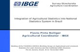 1 Integration of Agricultural Statistics into National Statistics System in Brazil Flavio Pinto Bolliger Agricultural Coordinator - IBGE Meeting of the.