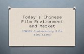 Today's Chinese Film Environment and Market COM329 Contemporary Film Bing Liang.