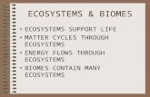 ECOSYSTEMS & BIOMES ECOSYSTEMS SUPPORT LIFE MATTER CYCLES THROUGH ECOSYSTEMS ENERGY FLOWS THROUGH ECOSYSTEMS BIOMES CONTAIN MANY ECOSYSTEMS.