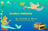 Sunken Habitats By Arnold & Muncy Adapted by Olivia Waller-Hall By Arnold & Muncy Adapted by Olivia Waller-Hall.