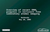 Overview of recent ORNL progress in restraint free laboratory animal imaging Bethesda May 20, 2005.