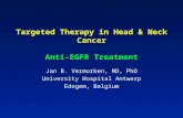Targeted Therapy in Head & Neck Cancer Anti-EGFR Treatment Jan B. Vermorken, MD, PhD University Hospital Antwerp Edegem, Belgium.
