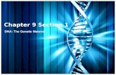 Chapter 9 Section 1 DNA: The Genetic Material. Transformation Griffith’s Experiments – In 1928, Frederick Griffith, a bacteriologist, was trying to prepare.