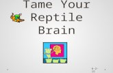 Tame Your Reptile Brain 6-2-15. Sources Bradberry, Travis and Jean Greaves. Emotional Intelligence 2.0. TalentSmart, 2009. Connors, Roger, et. al. The.
