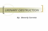 URINARY OBSTRUCTION By: Beverly Sorreta. ETIOLOGY  A urinary obstruction means the normal flow of urine is blocked. As the urine backs up, it can cause.