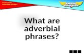 What are adverbial phrases? Grammar Toolkit. Adverbial phrases are phrases that do the work of adverbs. They tell how, when, where or why. On the wide.