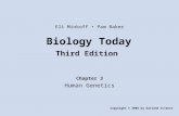 Biology Today Third Edition Chapter 3 Human Genetics Copyright © 2004 by Garland Science Eli Minkoff Pam Baker.