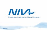 Norway’s leading multidisciplinary research institute in the field of use and protection of water bodies and water quality.