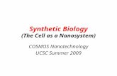 Synthetic Biology (The Cell as a Nanosystem) COSMOS Nanotechnology UCSC Summer 2009.