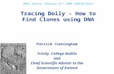 Tracing Dolly – How to Find Clones using DNA AAAS, Boston, February 15 th, 2008: Dolly for Dinner Patrick Cunningham Trinity, College Dublin and Chief.