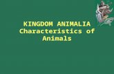 KINGDOM ANIMALIA Characteristics of Animals. Picasso time! 3 minutes! Draw the first thing that comes to mind when you hear the word……. ANIMAL.