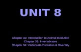 UNIT 8 Chapter 32: Introduction to Animal Evolution Chapter 33: Invertebrates Chapter 34: Vertebrate Evolution & Diversity.
