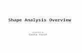 Shape Analysis Overview presented by Greta Yorsh.