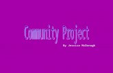 By Jessica McDonagh. What is my community project about? My community project is going to help someone create nail art on themselves and on their friends.
